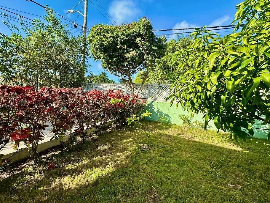 Spacious Light Filled Studio, Modern Renovation Nassau Lägenhet